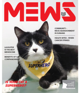 MEWS Vol. 2